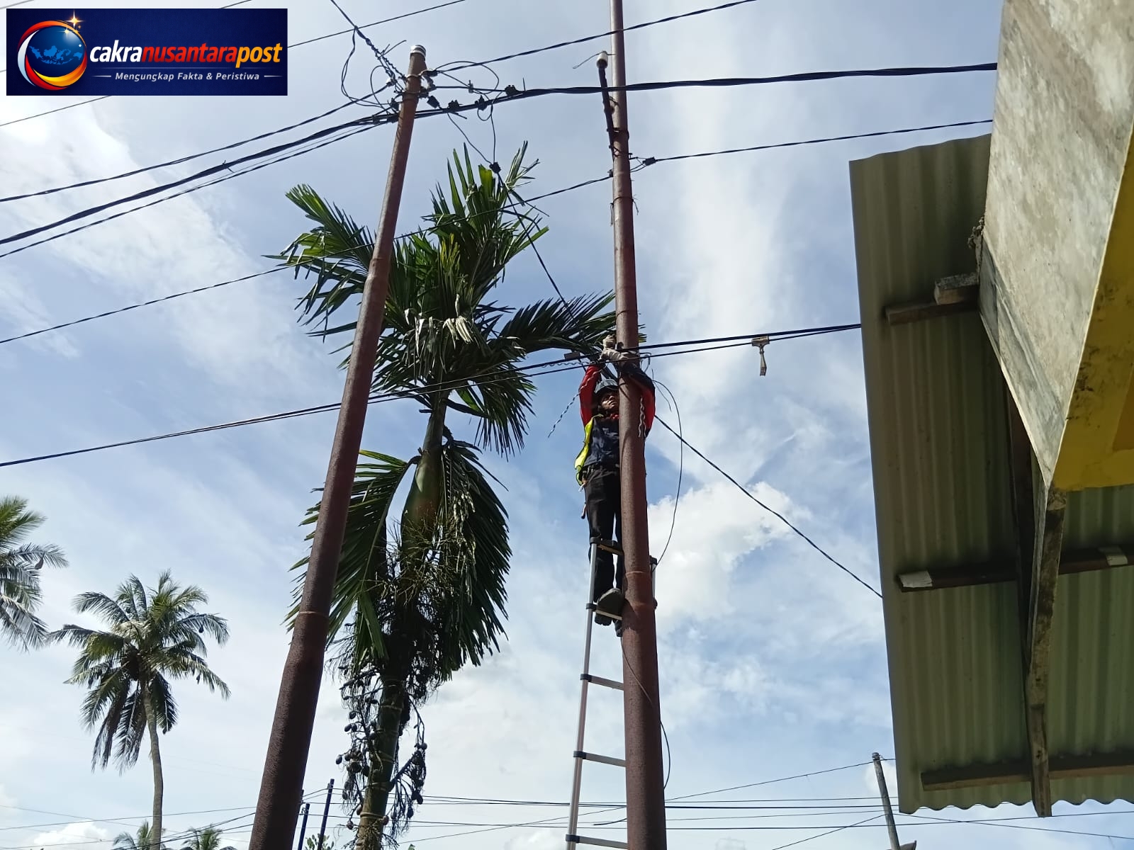 Pastikan Konektivitas Tetap Stabil, PLN Icon Plus Lakukan Perapian Kabel Fiber Optic di Talawi Sawahlunto